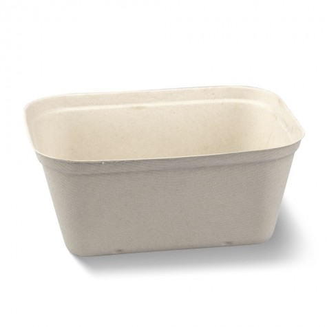 Punnet (1kg) - Natural  500 pcs