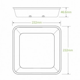 1750ml BioCane Takeaway Base Large - Natural  300 pcs