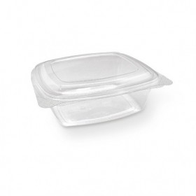 PET Hinged Rectangle container 48oz  200 pcs