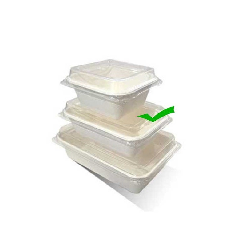 10oz(295ml) Takeaway Serving Tray Sugarcane  1000 pcs