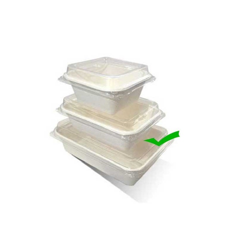 18oz(532ml) Takeaway Serving Tray Sugarcane  500 pcs