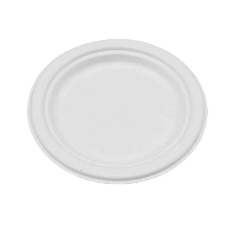 10" Sugarcane Bagasse Round Plate  500 pcs