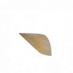 Wooden Gourmet Pine Cone Small Serve FST Certified  3000 pcs