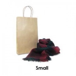Brown Kraft Takeaway Bag - Small  500 pcs