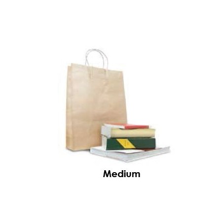 Brown Kraft Takeaway Bag - Medium  250 pcs