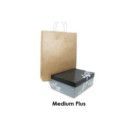 Brown Kraft Takeaway Bag - Medium Plus  250 pcs