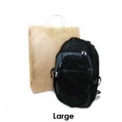 Brown Kraft Takeaway Bag - Large  250 pcs