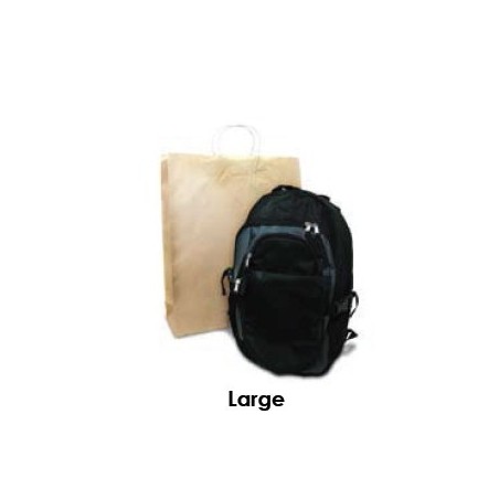 Brown Kraft Takeaway Bag - Large  250 pcs