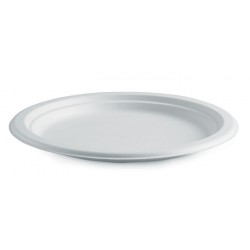 10" Round Plate Biodegradable White  500 pcs