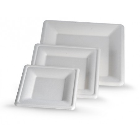 10Ã¢â‚¬Â Sugarcane Square Plate 262x262x19  600 pcs