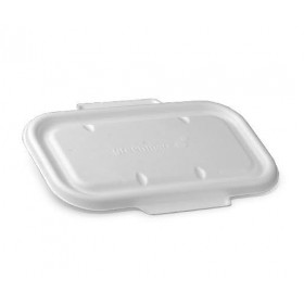 Sugarcane lid for takeaway container 23/30oz  400 pcs